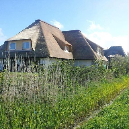 Appartement Haus-Duewelswarft-Whg-Delphin à Sankt Peter-Ording Extérieur photo